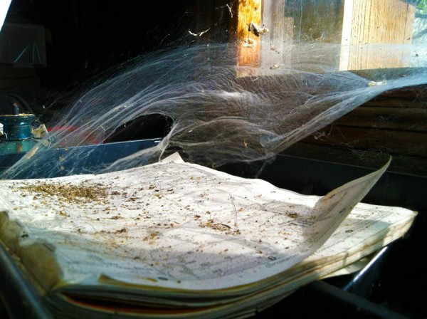 Daniel Buechele, "Web and Map."