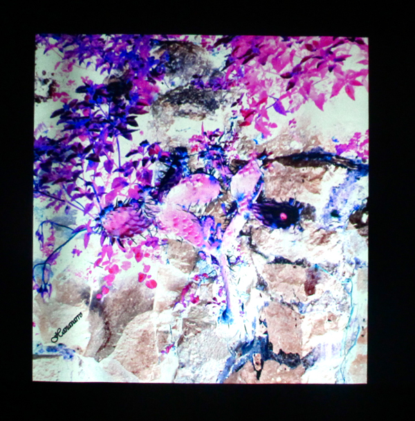 Negative imagery by Navarro, for a positive effect!