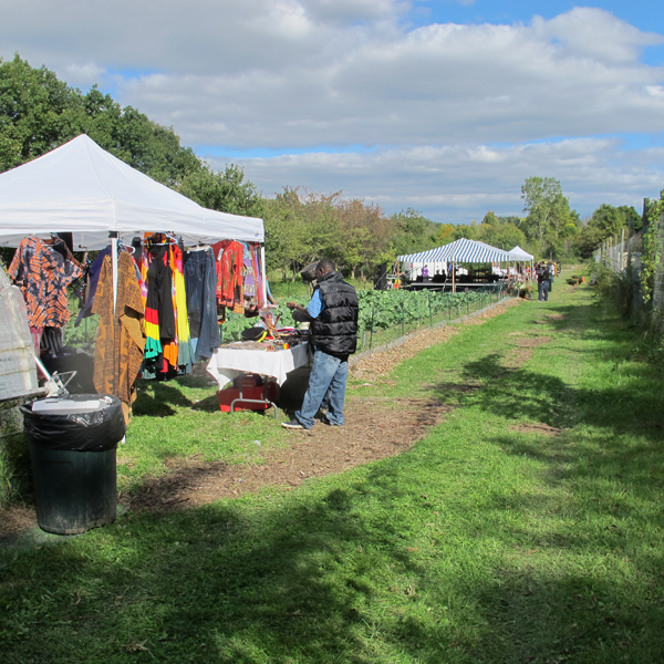 D-Town has both indoor and outdoor growing facilities, an apiary, and a massive composting operation.