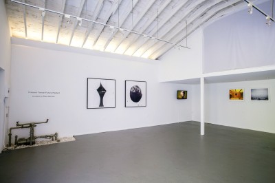 Work from Sheree Hovsepien, Simone Leigh & Liz Magic Laser and Wyatt Gallery
