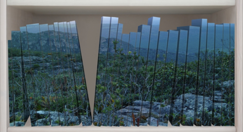 Claudia Jaguaribe at the Brazil Art Fair