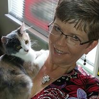 Kari McCall Waltz - the artist