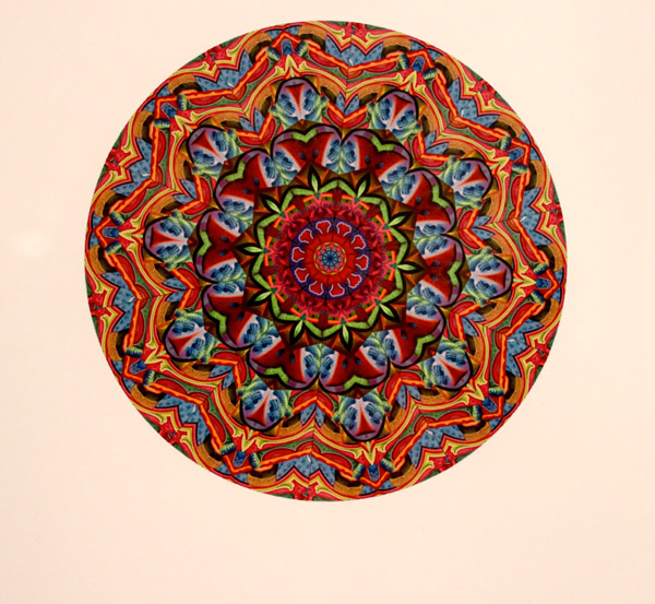 Detail from a work by Osman Khan.