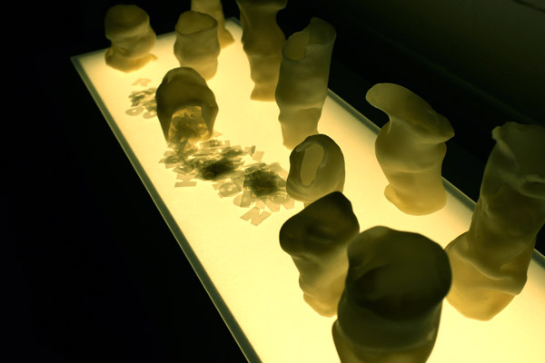 Detail of Avadenka's lightbox piece.
