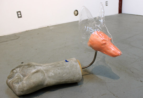 Revolution Residue by Chido Johnson & Pam by Michael McGillis.