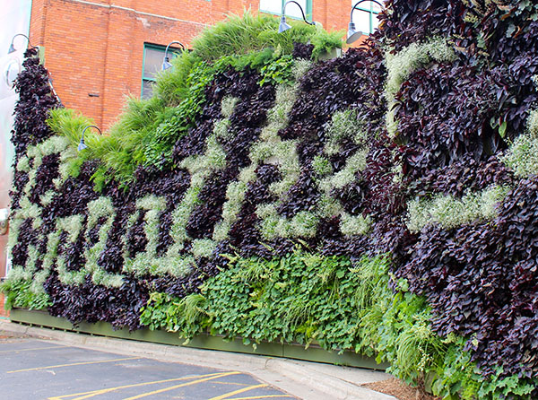 BREATHE (2), a living artwork by Dave Mackenzie, and also one of the finalists.