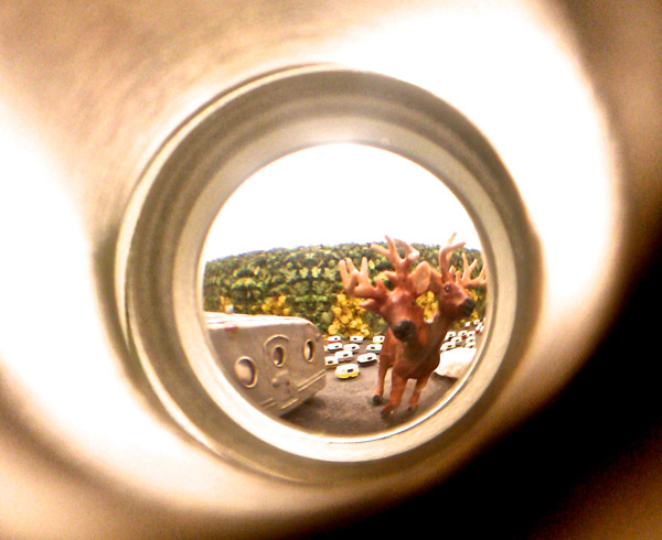 One view inside Milostan's cabinet of wonders.